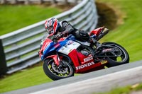 PJ-Motorsport-2019;anglesey;brands-hatch;cadwell-park;croft;donington-park;enduro-digital-images;event-digital-images;eventdigitalimages;mallory;no-limits;oulton-park;peter-wileman-photography;racing-digital-images;silverstone;snetterton;trackday-digital-images;trackday-photos;vmcc-banbury-run;welsh-2-day-enduro
